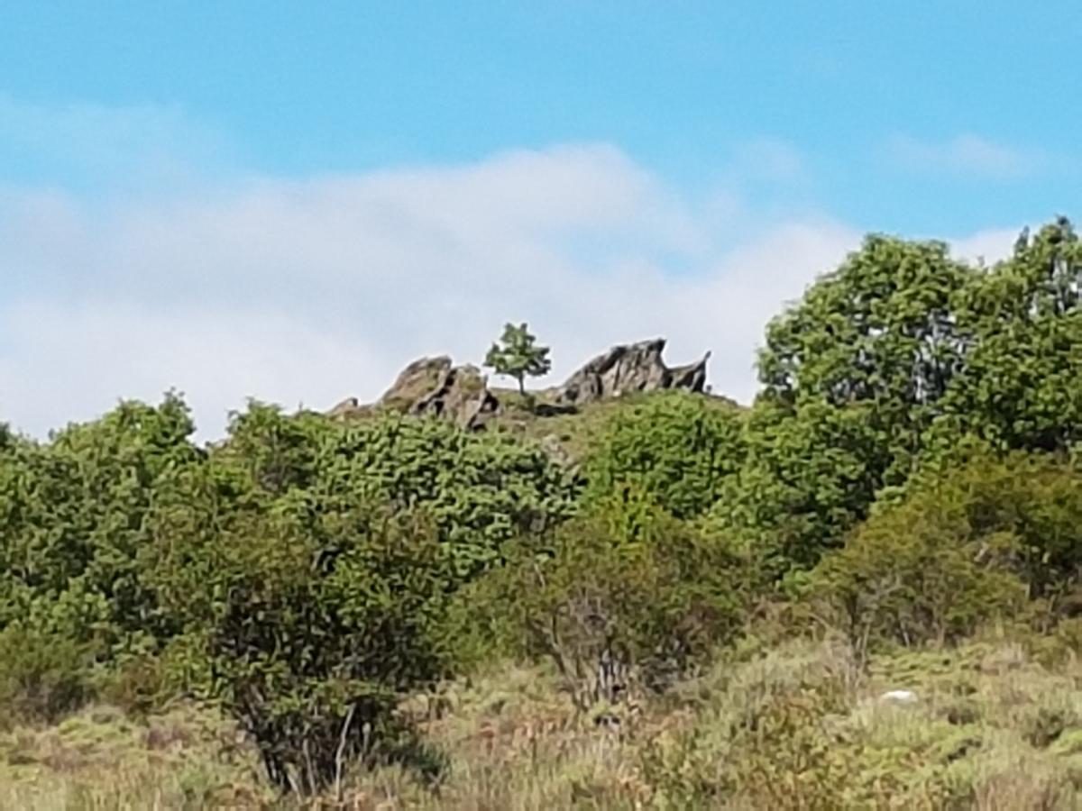 La Posada De Horcajuelo Horcajuelo de la Sierra Eksteriør bilde