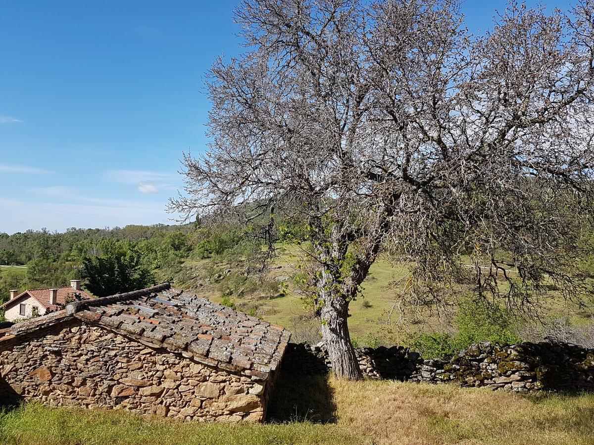 La Posada De Horcajuelo Horcajuelo de la Sierra Eksteriør bilde