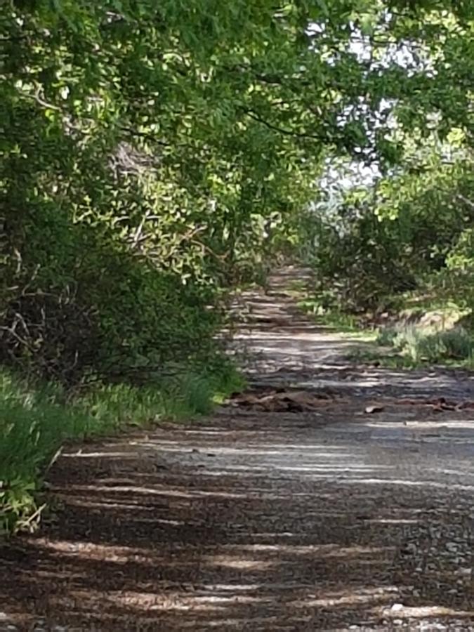 La Posada De Horcajuelo Horcajuelo de la Sierra Eksteriør bilde